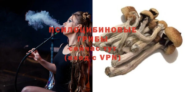ГАЛЛЮЦИНОГЕННЫЕ ГРИБЫ Краснослободск