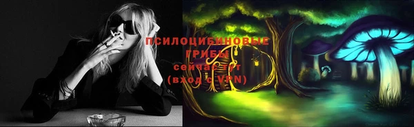 крисы Арсеньев