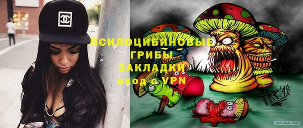 крисы Арсеньев